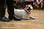 IMG_9270.jpg