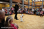 IMG_9273.jpg