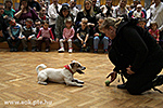 IMG_9281.jpg