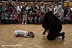 IMG_9283.jpg