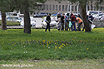 IMG_9533.jpg