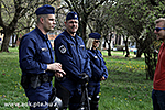 IMG_9535.jpg
