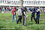 IMG_9561.jpg