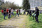 IMG_9652.jpg