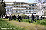 IMG_9657.jpg