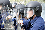 IMG_9733.jpg