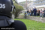 IMG_9946.jpg