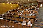 IMG_2376.jpg