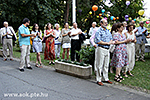 IMG_3480.jpg