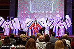 IMG_8413.jpg