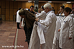 IMG_8813.jpg