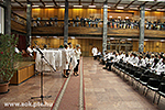 IMG_8835.jpg