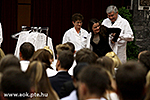 IMG_8864.jpg
