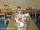 160930_079_resize.jpg