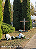 161128_042_PA283332_resize.jpg