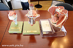IMG_8990.jpg