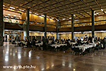 IMG_2562.jpg