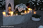 IMG_0791.jpg