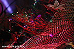 IMG_1086.jpg