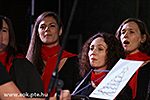 IMG_1113.jpg