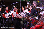 IMG_1116.jpg
