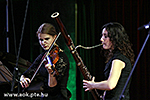 IMG_1142.jpg