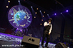 IMG_4417.jpg