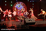 IMG_4466.jpg