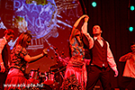 IMG_4519.jpg
