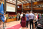 IMG_9801.jpg