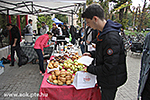 IMG_2081.jpg