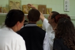 mod__dsc3843.jpg