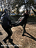 CBRN_0003.jpg