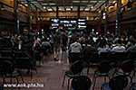 IMG_7584.jpg