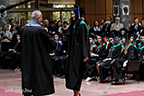 IMG_9640.jpg