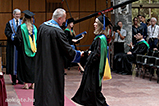 IMG_9729.jpg