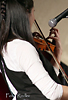 img-5a.jpg