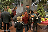 IMG_5765.jpg