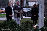DSCF0716.jpg