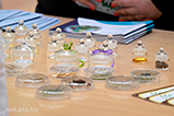DSCF2099.jpg