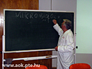 IMG_8885.jpg