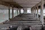 DSCF2114.jpg