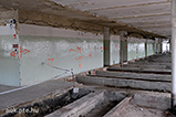 DSCF2119.jpg