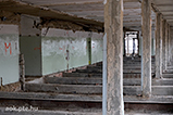 DSCF2121.jpg