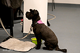 DSCF8074.jpg