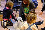 DSCF4756.jpg
