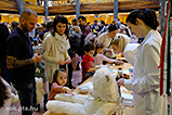 DSCF4871.jpg
