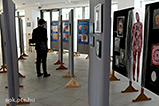 DSCF9198.jpg