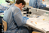 DSCF9366.jpg