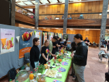 20240417_140316_limonade24_peer.jpg